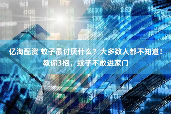亿海配资 蚊子最讨厌什么？大多数人都不知道！教你3招，蚊子不敢进家门