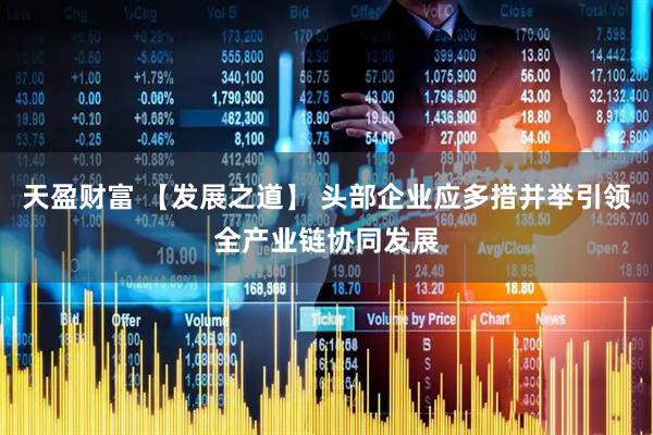 天盈财富 【发展之道】 头部企业应多措并举引领全产业链协同发展
