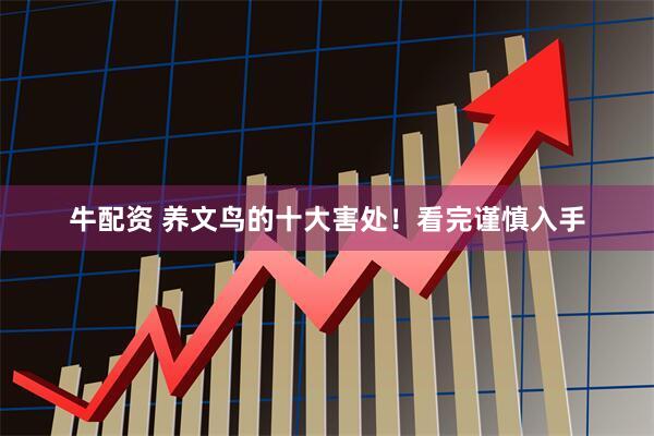 牛配资 养文鸟的十大害处！看完谨慎入手