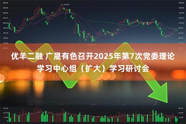 优羊二融 广晟有色召开2025年第7次党委理论学习中心组(扩大)学习研讨会