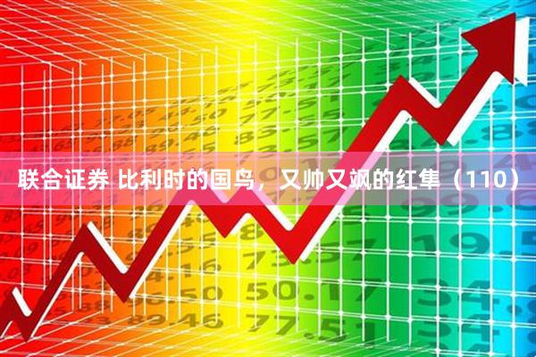 联合证券 比利时的国鸟，又帅又飒的红隼（110）